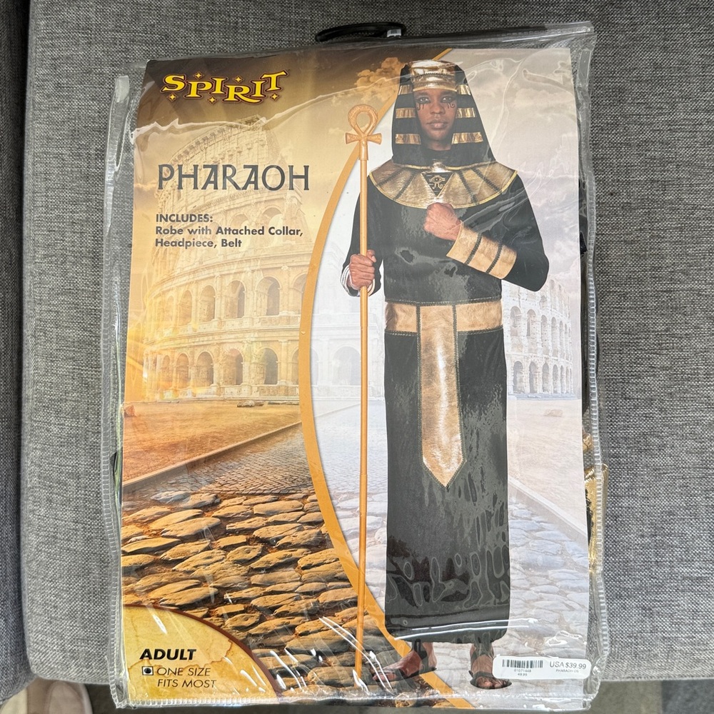 Spirit Pharaoh Costume with Gold and Black Accents